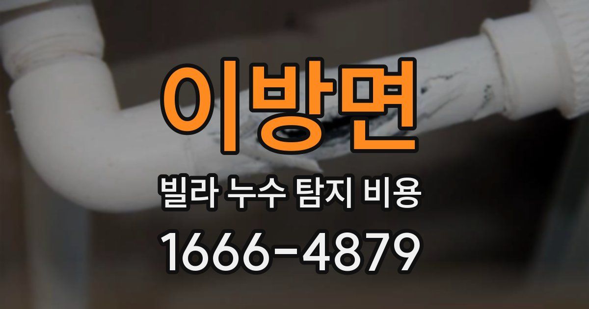 이방면 빌라 누수 탐지 비용
