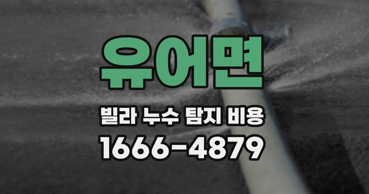 유어면 빌라 누수 탐지 비용
