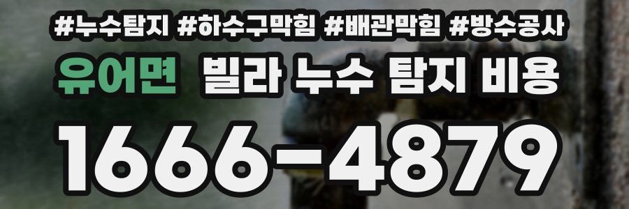 유어면 빌라 누수 탐지 비용