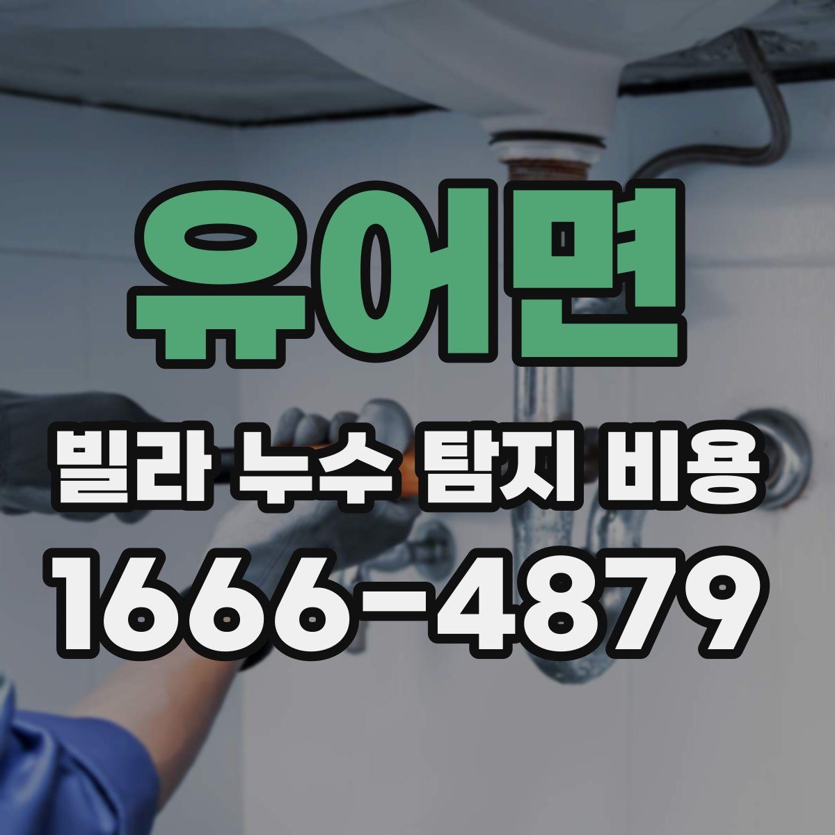 유어면 빌라 누수 탐지 비용