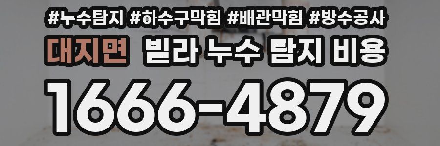 대지면 빌라 누수 탐지 비용