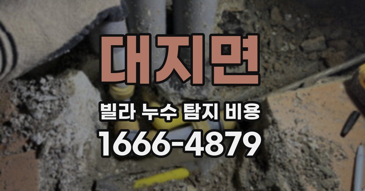 대지면 빌라 누수 탐지 비용