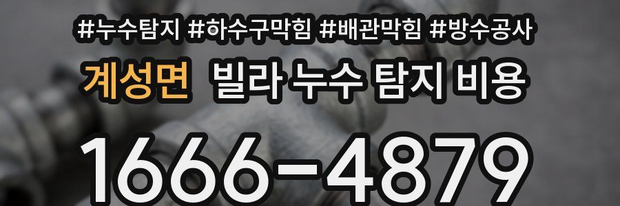 계성면 빌라 누수 탐지 비용