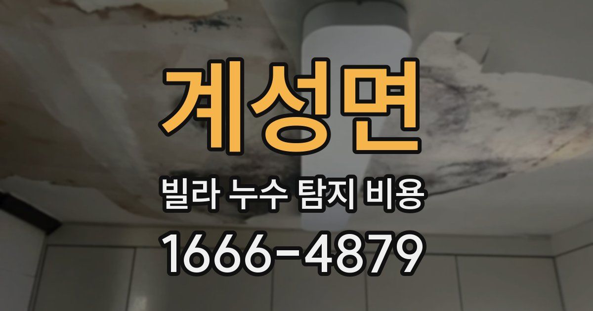 계성면 빌라 누수 탐지 비용