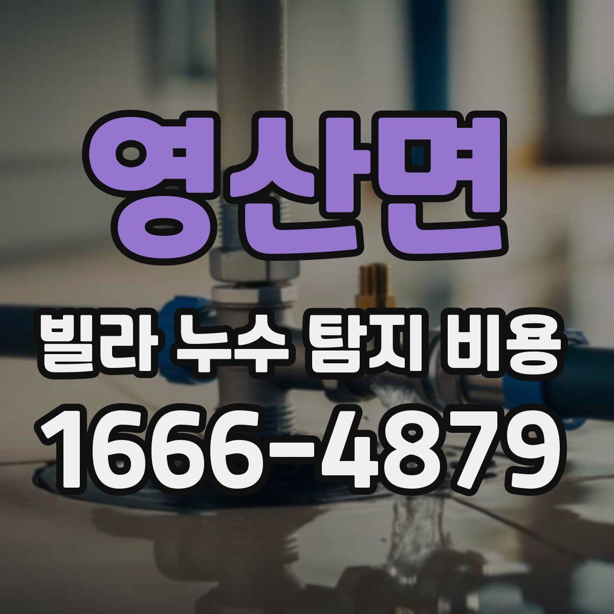 영산면 빌라 누수 탐지 비용