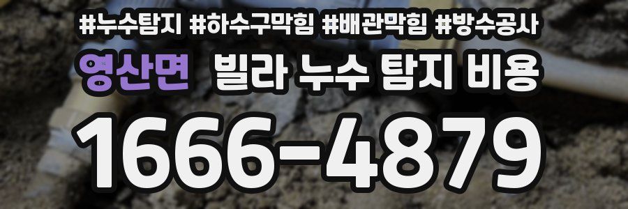 영산면 빌라 누수 탐지 비용