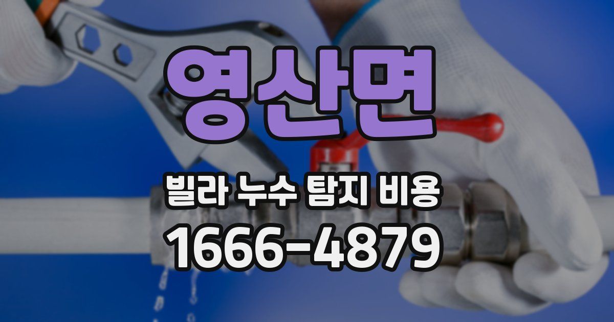 영산면 빌라 누수 탐지 비용