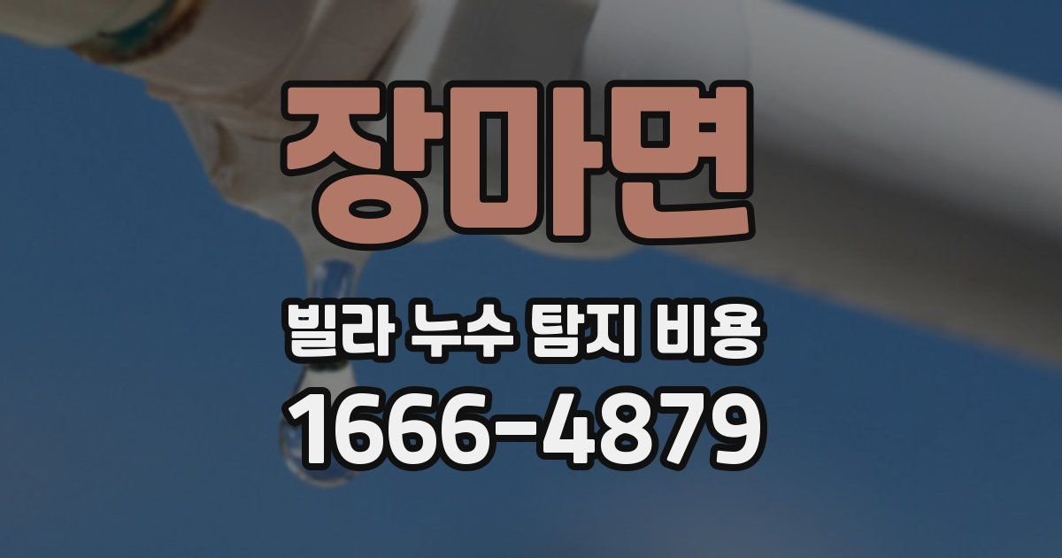 장마면 빌라 누수 탐지 비용
