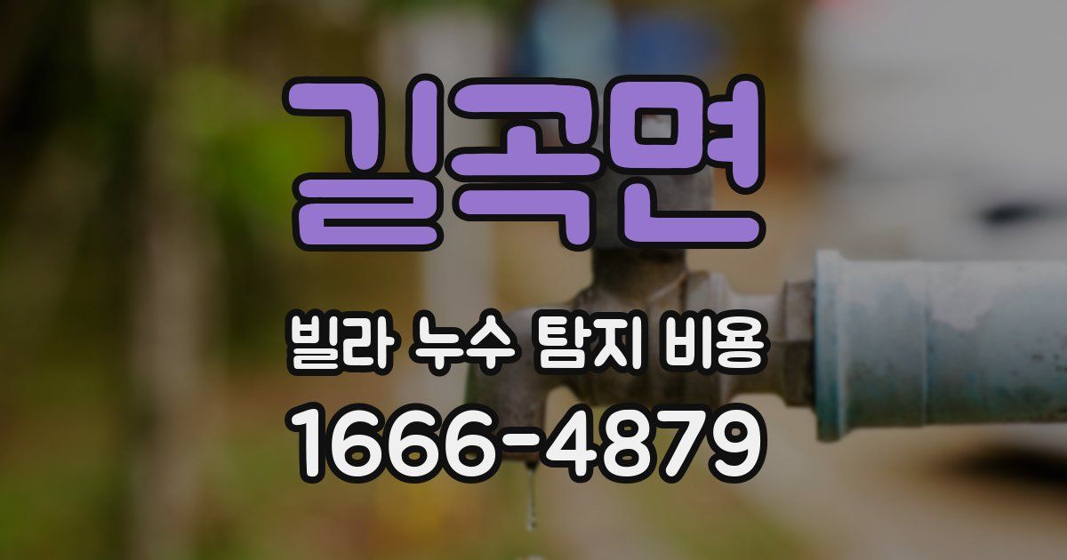길곡면 빌라 누수 탐지 비용