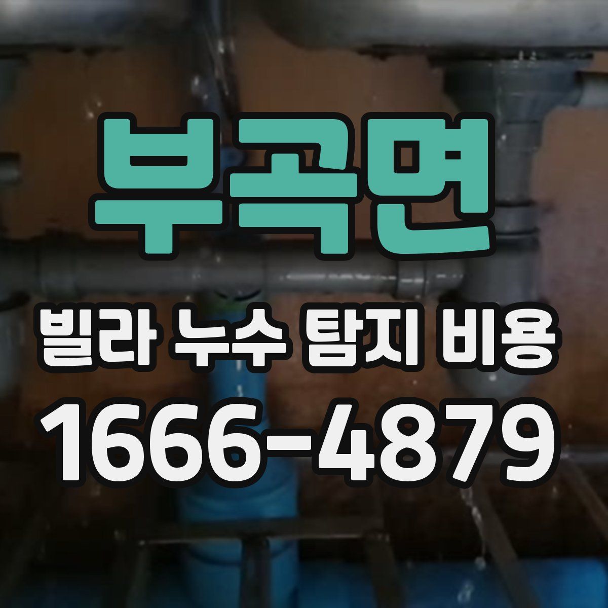 부곡면 빌라 누수 탐지 비용