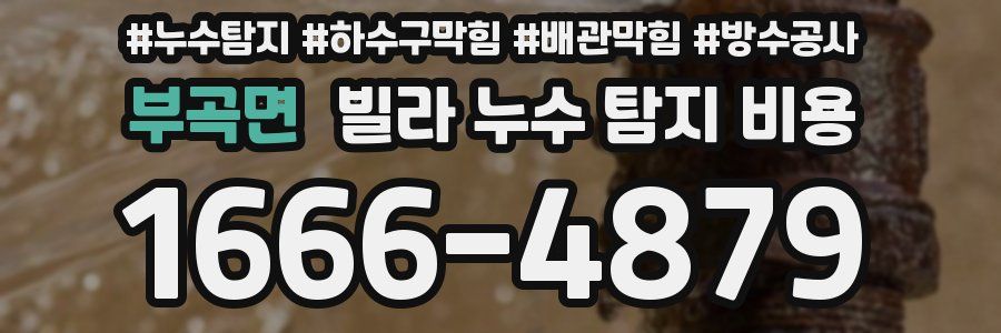 부곡면 빌라 누수 탐지 비용
