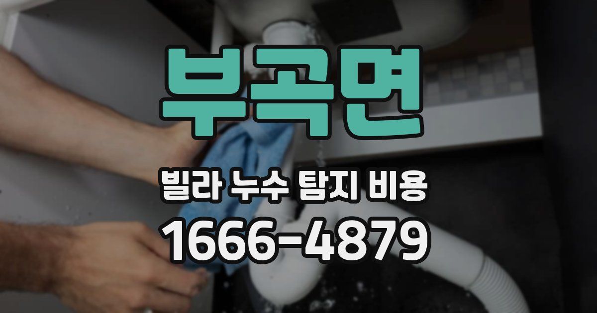 부곡면 빌라 누수 탐지 비용