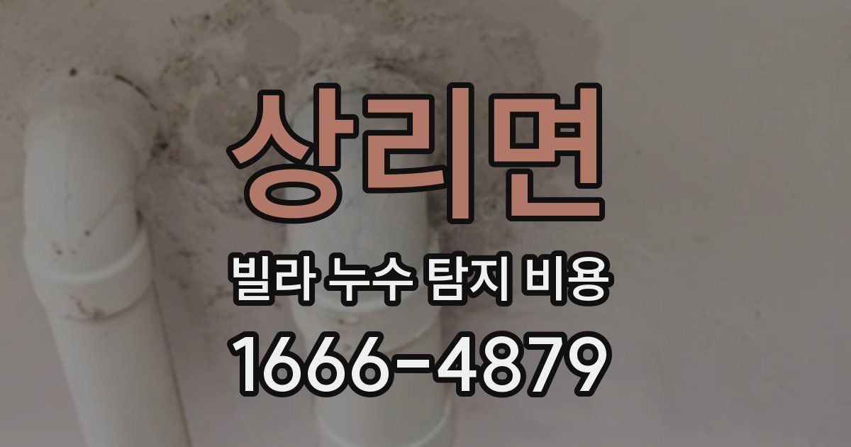 상리면 빌라 누수 탐지 비용