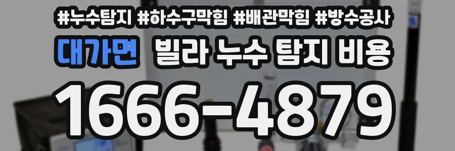 대가면 빌라 누수 탐지 비용