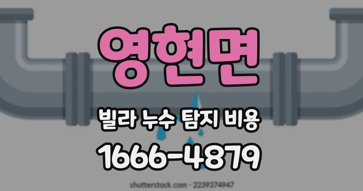 영현면 빌라 누수 탐지 비용