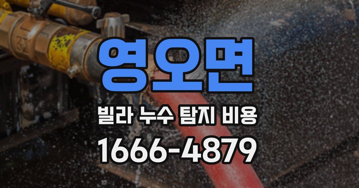 영오면 빌라 누수 탐지 비용