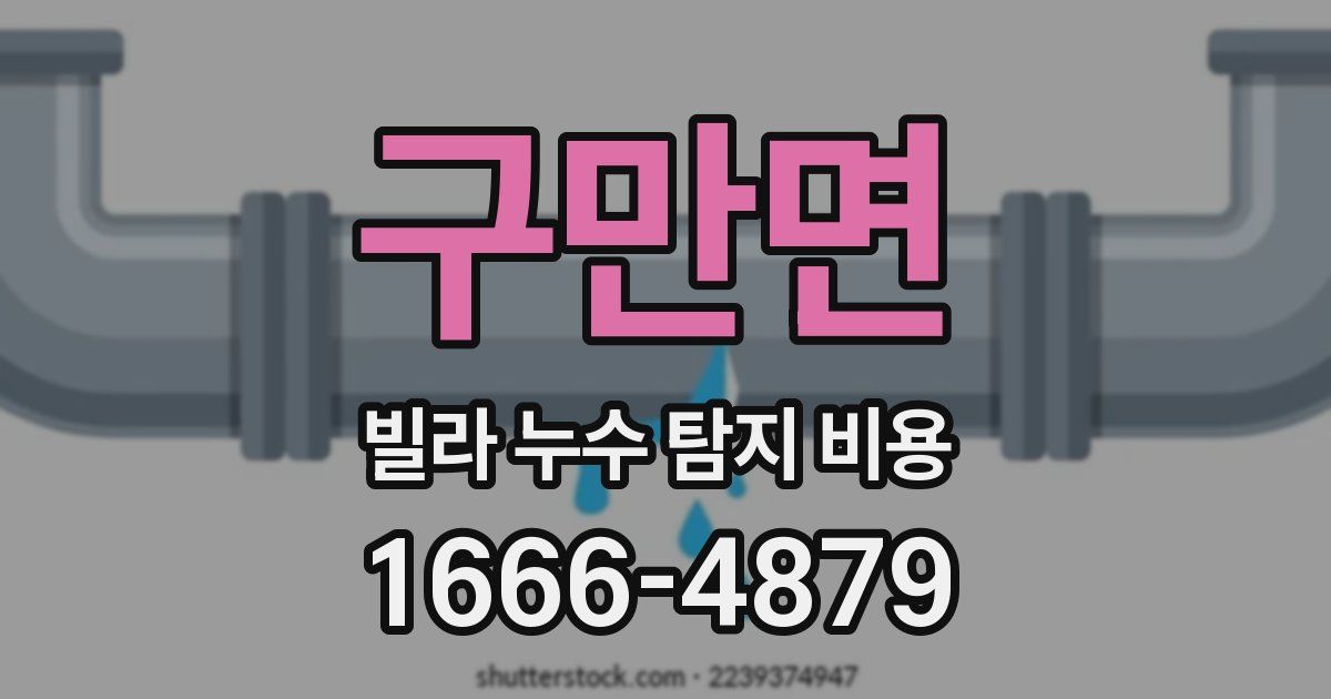 구만면 빌라 누수 탐지 비용