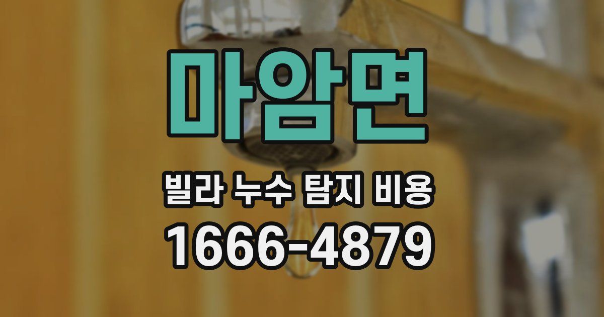 마암면 빌라 누수 탐지 비용
