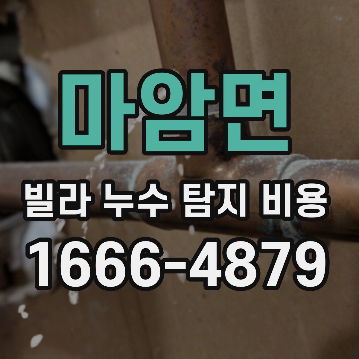 마암면 빌라 누수 탐지 비용