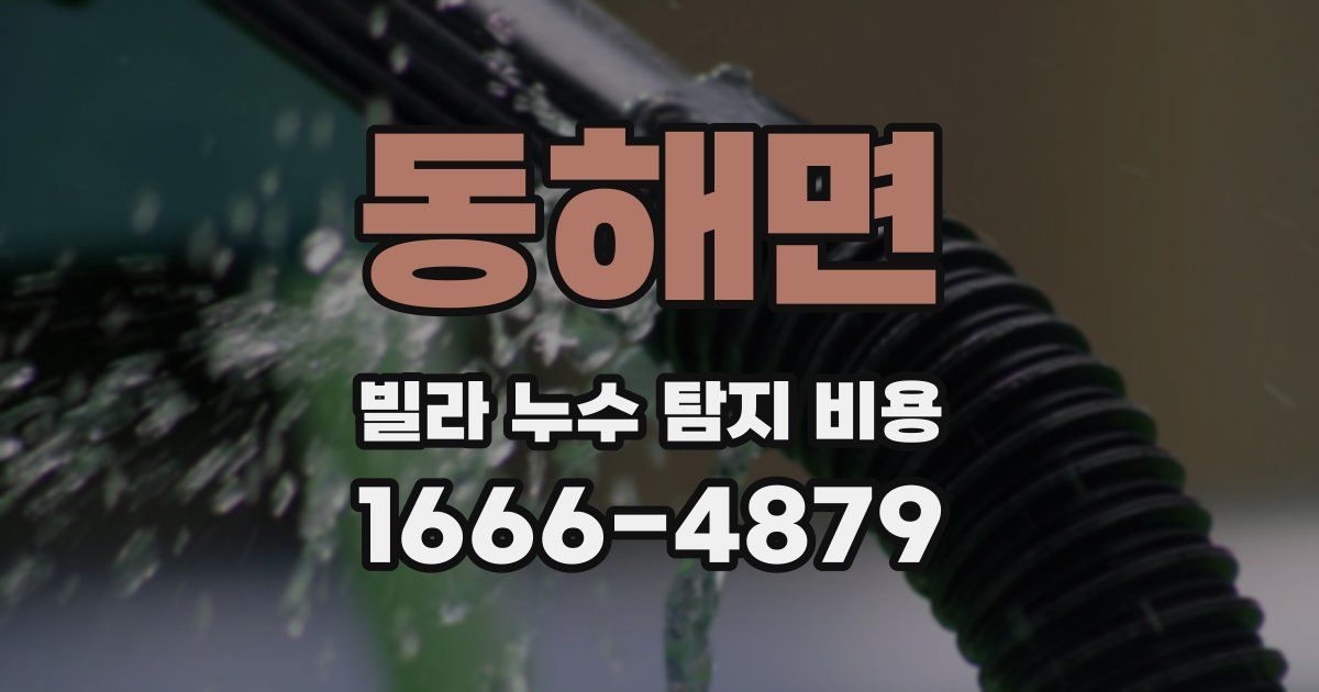 동해면 빌라 누수 탐지 비용