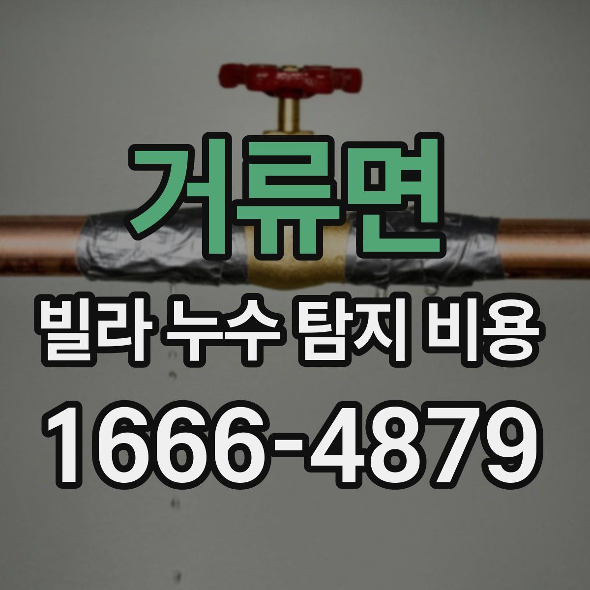 거류면 빌라 누수 탐지 비용