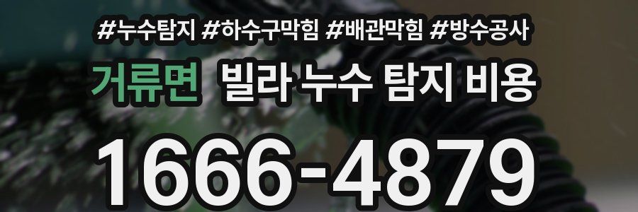 거류면 빌라 누수 탐지 비용