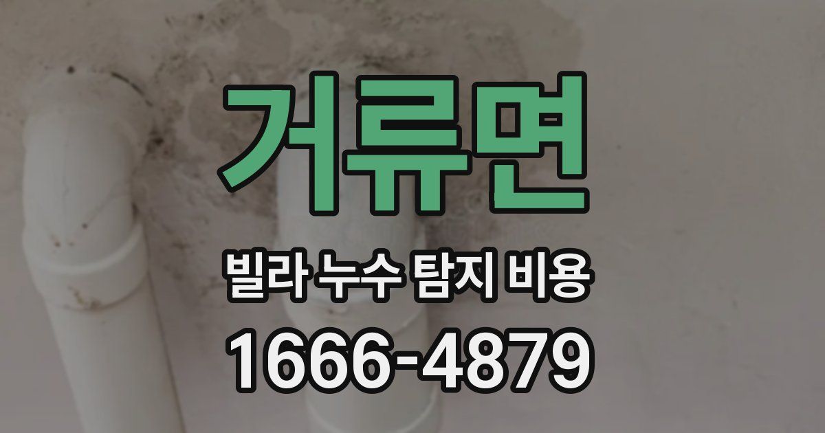 거류면 빌라 누수 탐지 비용