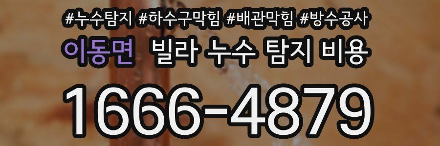 이동면 빌라 누수 탐지 비용