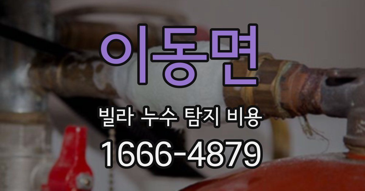 이동면 빌라 누수 탐지 비용