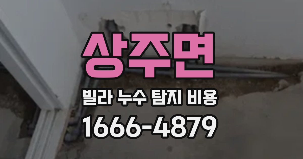 상주면 빌라 누수 탐지 비용