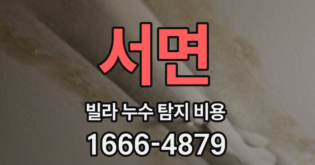 서면 빌라 누수 탐지 비용