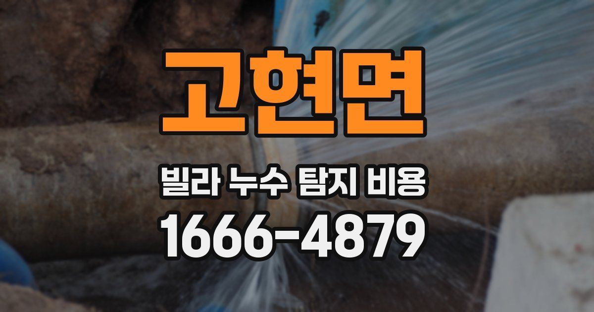 고현면 빌라 누수 탐지 비용