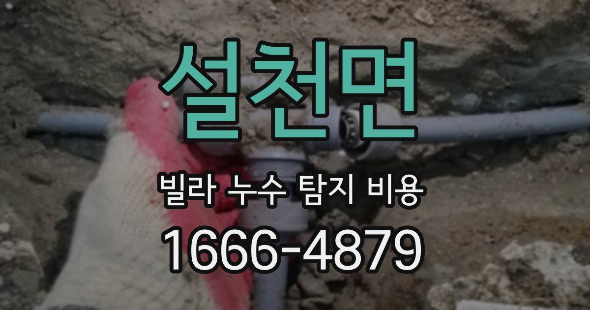설천면 빌라 누수 탐지 비용