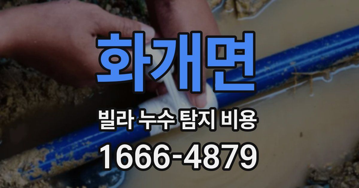 화개면 빌라 누수 탐지 비용