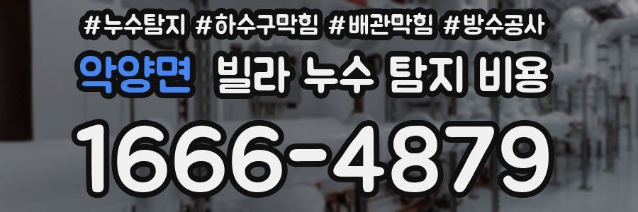 악양면 빌라 누수 탐지 비용