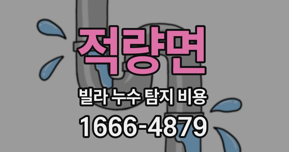 적량면 빌라 누수 탐지 비용