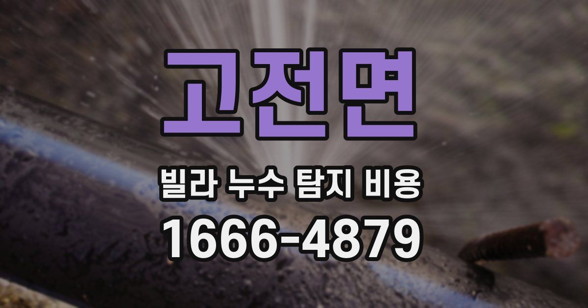 고전면 빌라 누수 탐지 비용