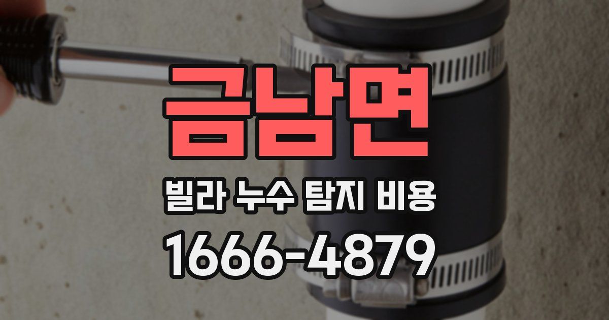 금남면 빌라 누수 탐지 비용