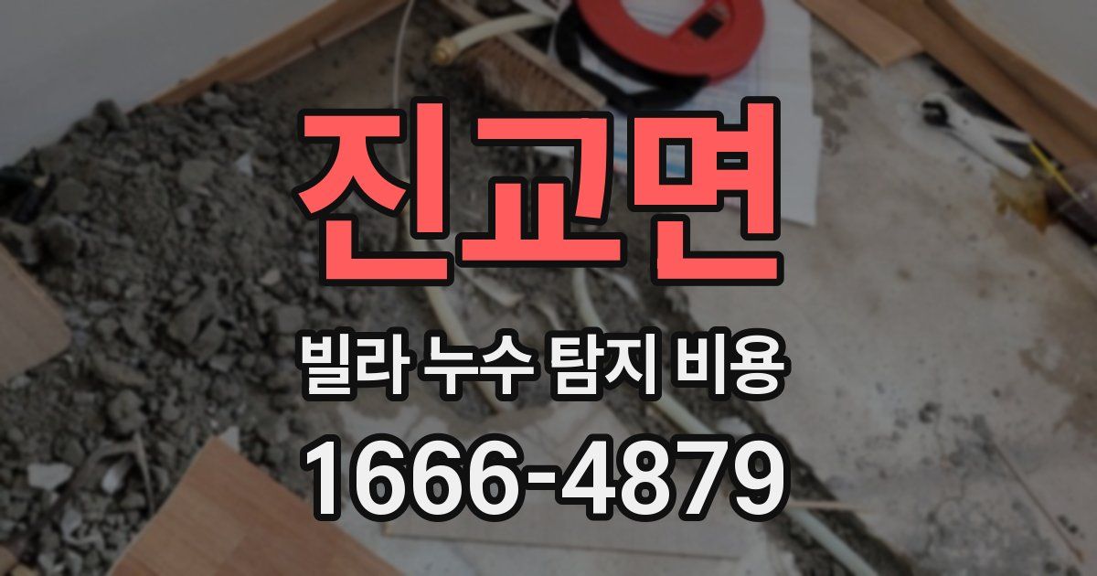 진교면 빌라 누수 탐지 비용