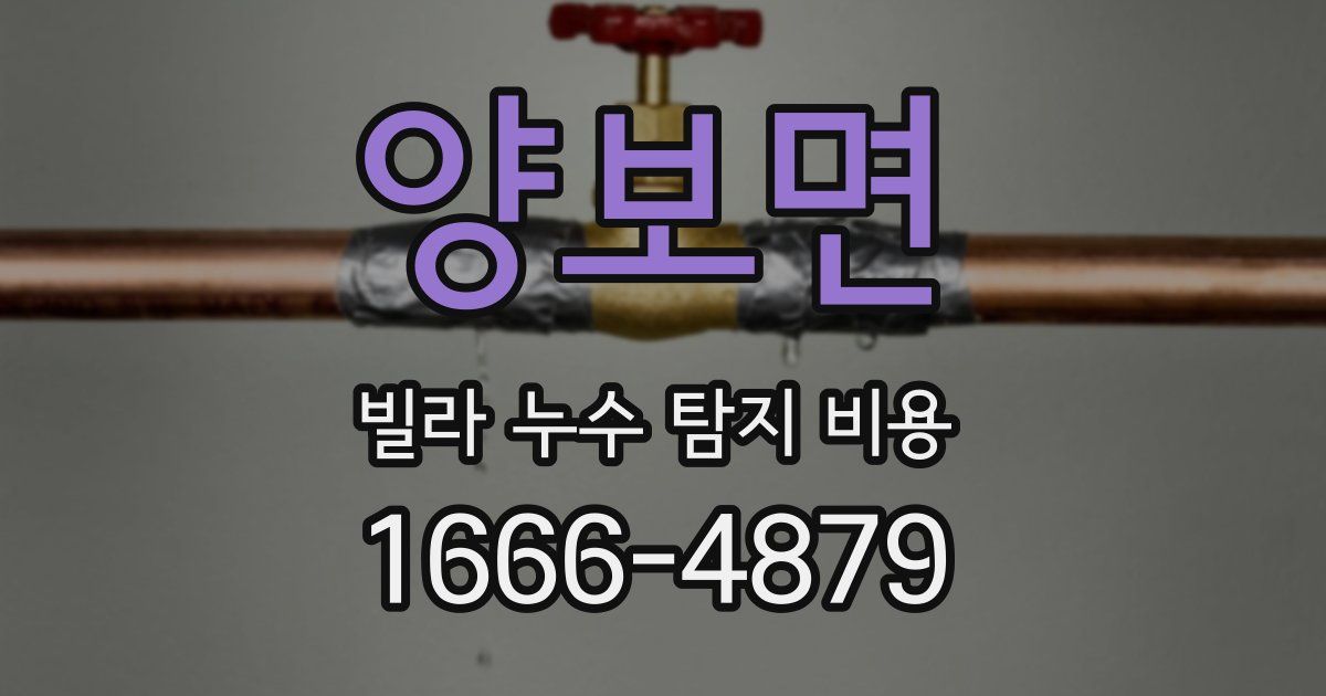 양보면 빌라 누수 탐지 비용