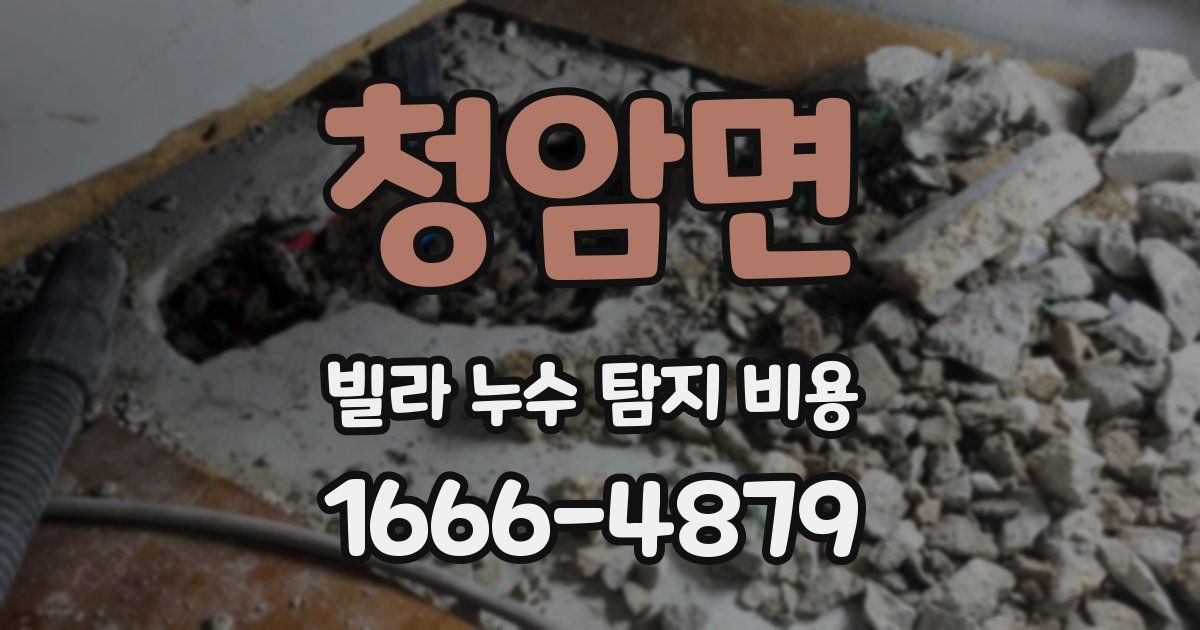 청암면 빌라 누수 탐지 비용