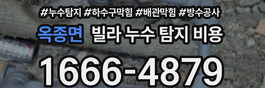 옥종면 빌라 누수 탐지 비용