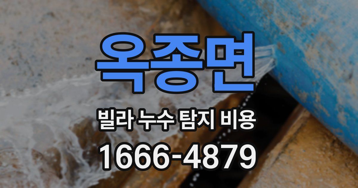 옥종면 빌라 누수 탐지 비용