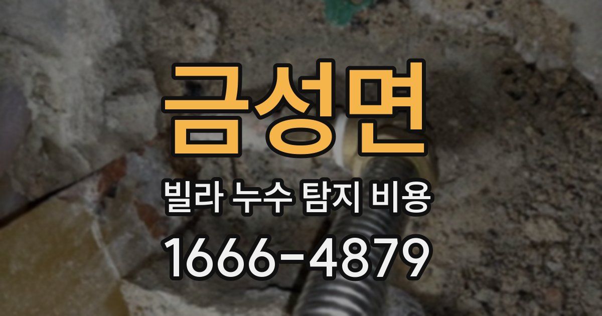 금성면 빌라 누수 탐지 비용