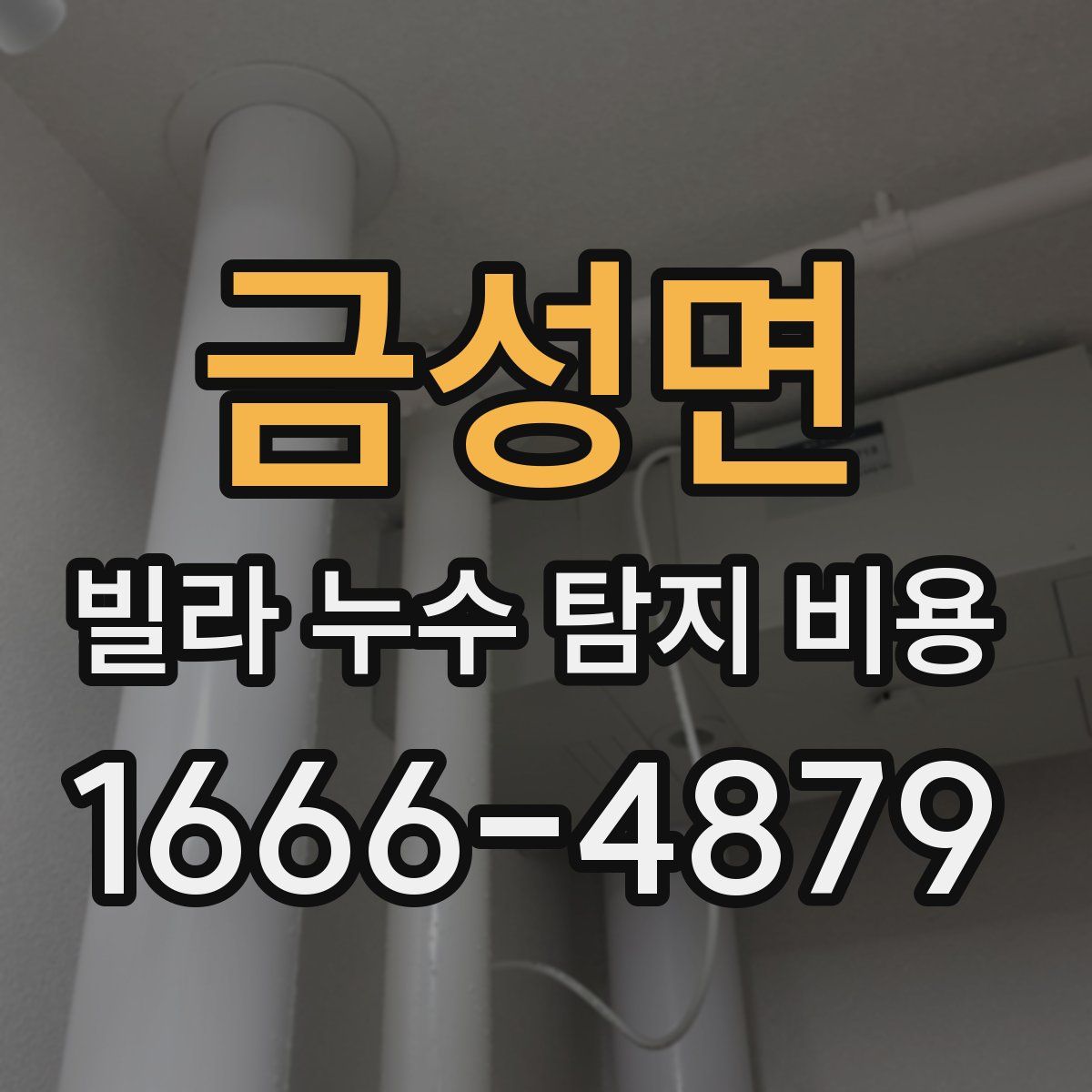 금성면 빌라 누수 탐지 비용