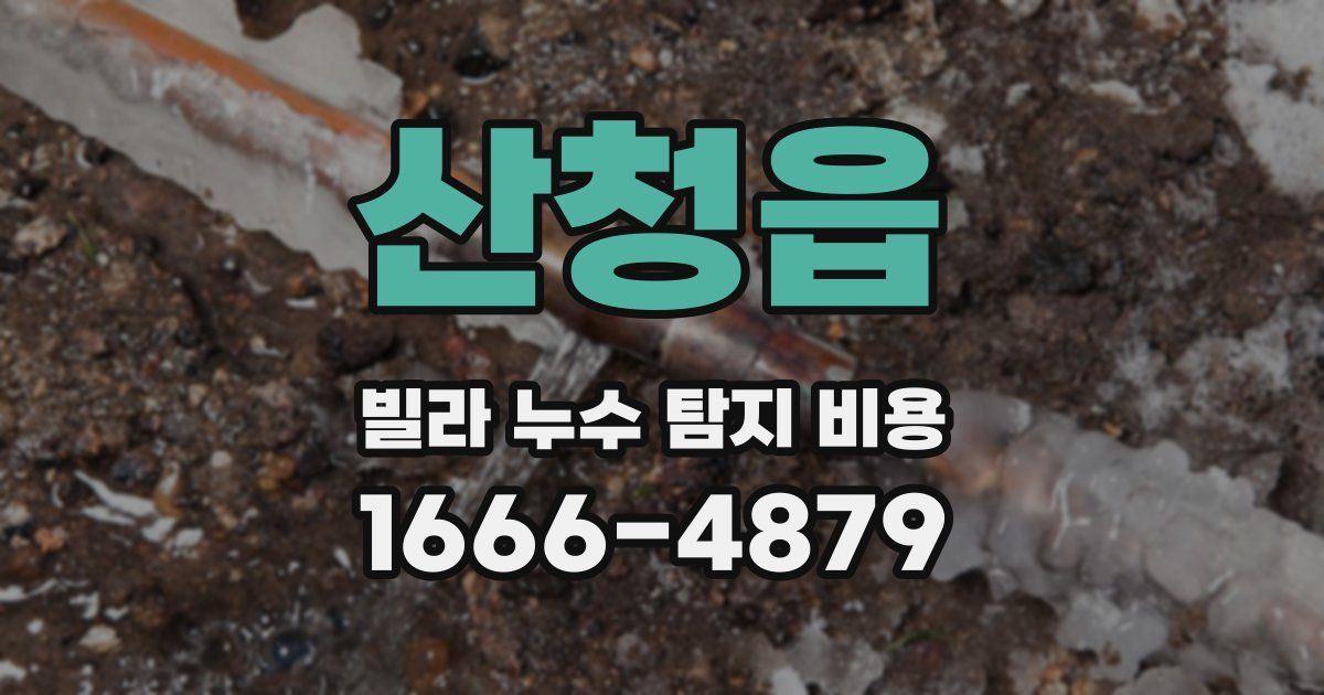 산청읍 빌라 누수 탐지 비용