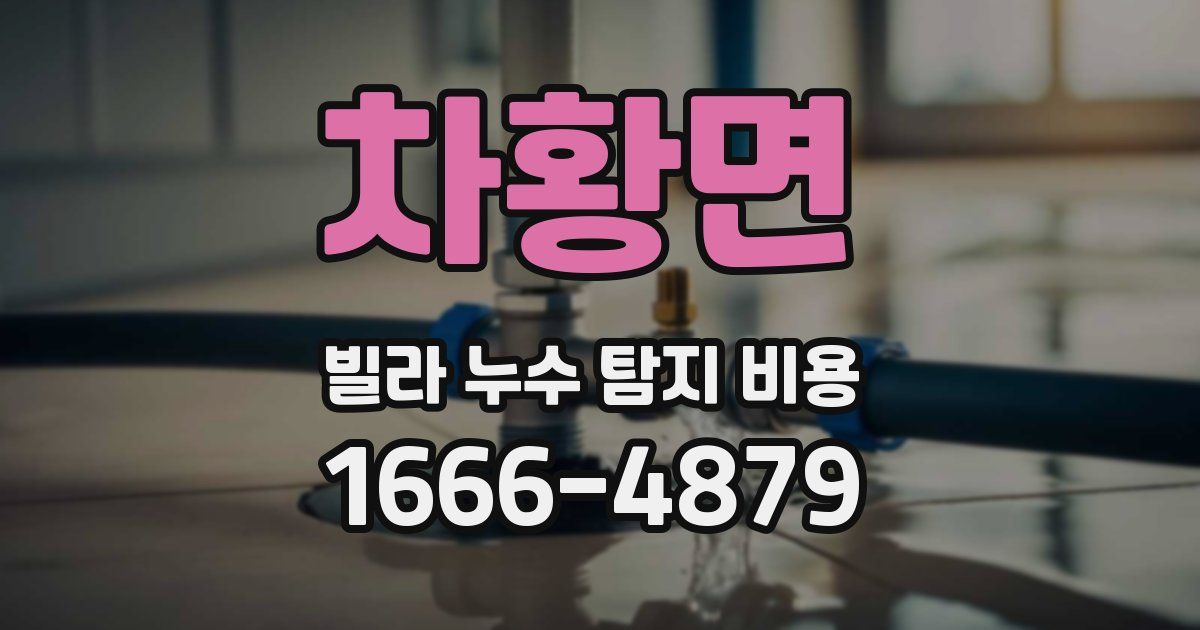 차황면 빌라 누수 탐지 비용