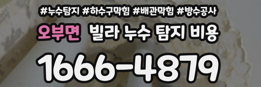 오부면 빌라 누수 탐지 비용