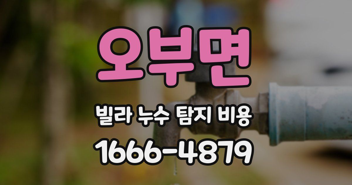 오부면 빌라 누수 탐지 비용