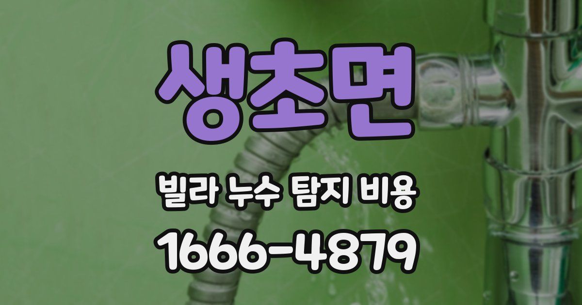 생초면 빌라 누수 탐지 비용